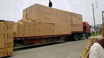 上海搬運(yùn)服務(wù)全指南 專業(yè)裝卸工人與臨時(shí)零活解決方案